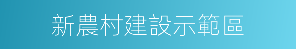 新農村建設示範區的同義詞