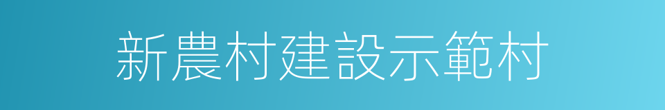 新農村建設示範村的同義詞