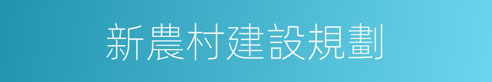 新農村建設規劃的同義詞