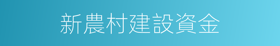 新農村建設資金的同義詞