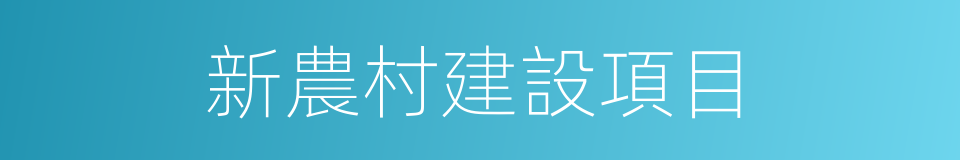 新農村建設項目的同義詞