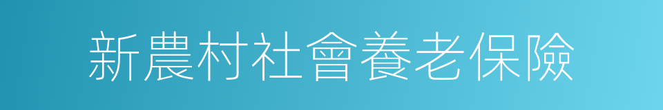 新農村社會養老保險的同義詞