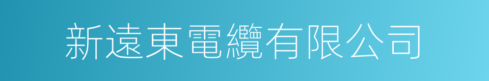 新遠東電纜有限公司的同義詞