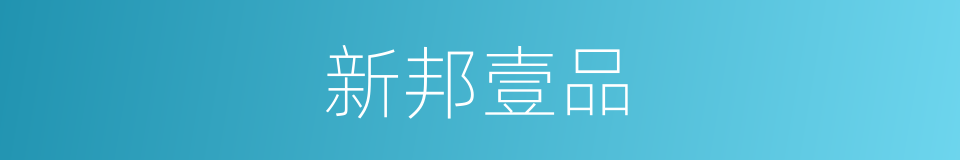 新邦壹品的同义词