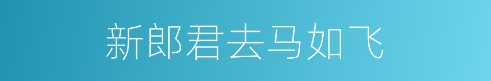 新郎君去马如飞的同义词