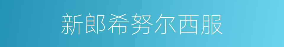 新郎希努尔西服的同义词