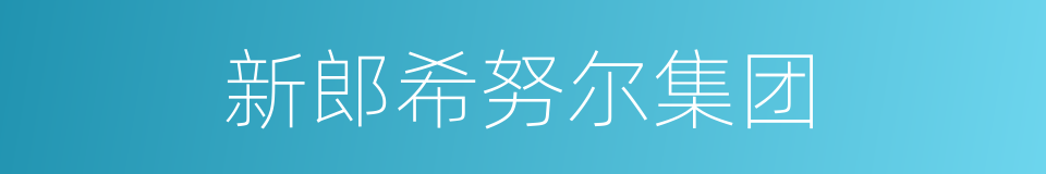 新郎希努尔集团的同义词