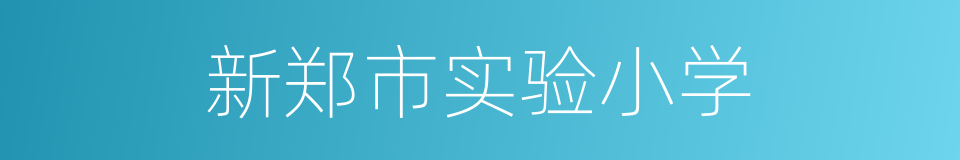 新郑市实验小学的同义词