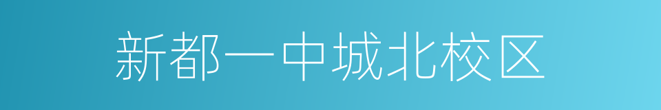 新都一中城北校区的同义词