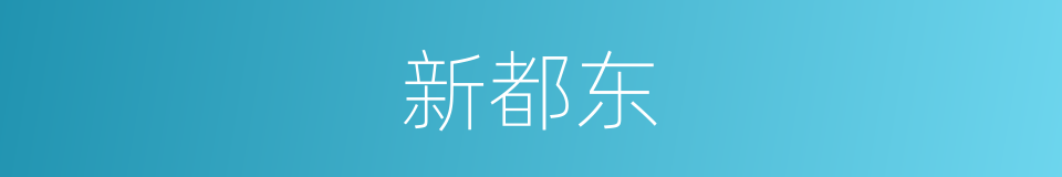 新都东的同义词