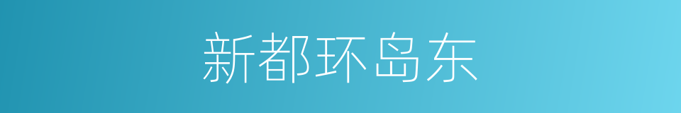 新都环岛东的同义词