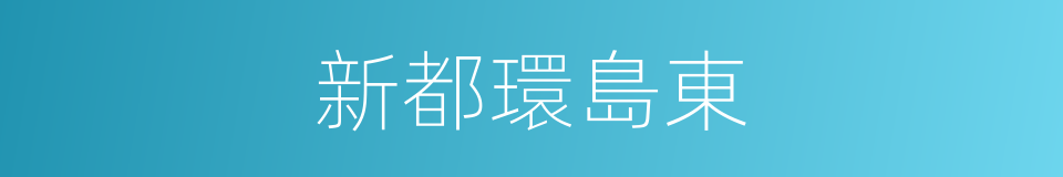 新都環島東的同義詞