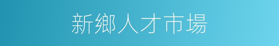 新鄉人才市場的同義詞