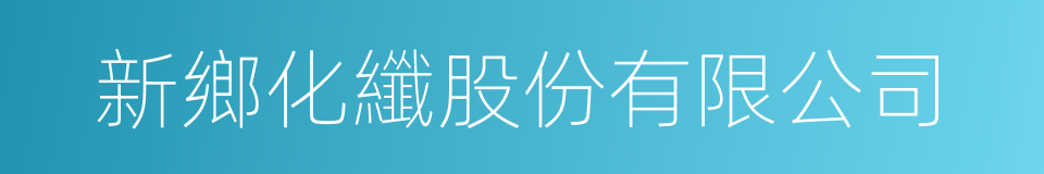 新鄉化纖股份有限公司的同義詞