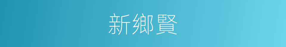 新鄉賢的同義詞