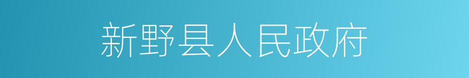 新野县人民政府的意思