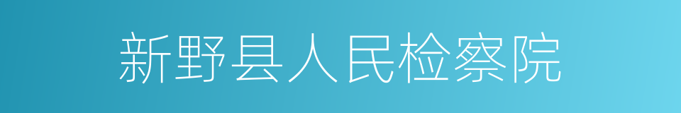 新野县人民检察院的同义词