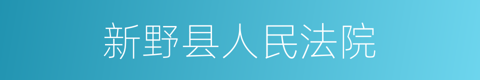 新野县人民法院的同义词