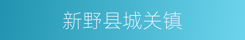 新野县城关镇的同义词