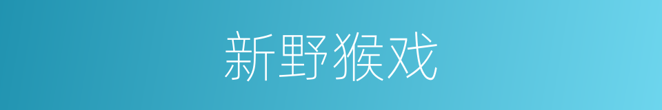 新野猴戏的同义词