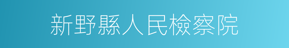 新野縣人民檢察院的同義詞