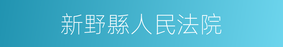 新野縣人民法院的同義詞