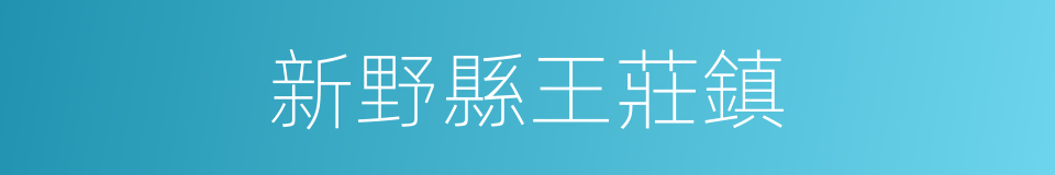 新野縣王莊鎮的同義詞