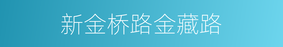 新金桥路金藏路的同义词