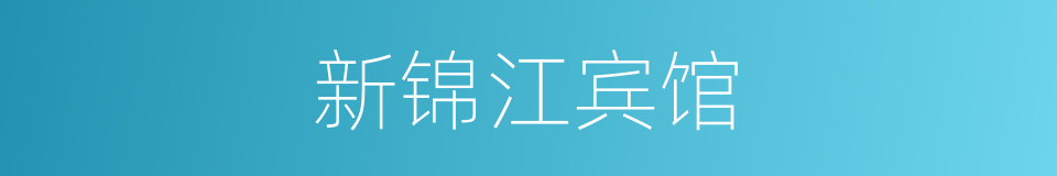 新锦江宾馆的同义词