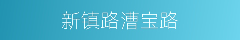 新镇路漕宝路的同义词