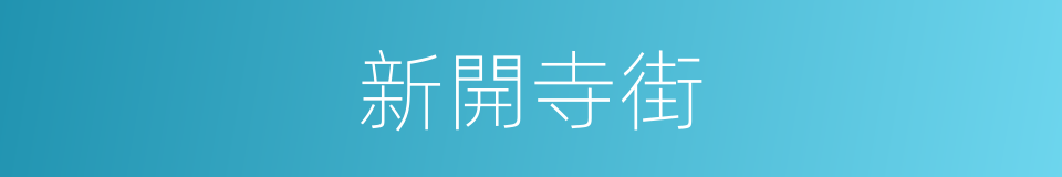 新開寺街的同義詞