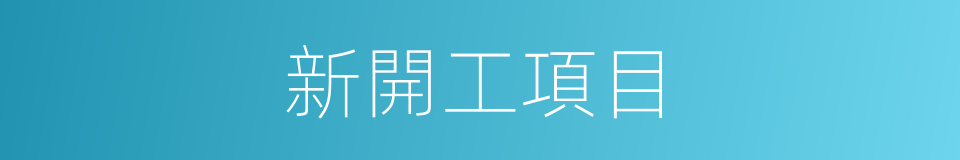 新開工項目的同義詞