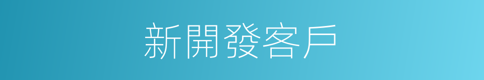 新開發客戶的同義詞