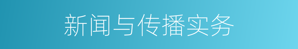 新闻与传播实务的同义词