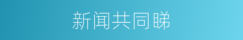 新闻共同睇的同义词