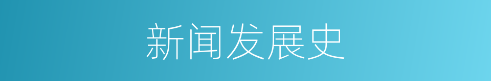 新闻发展史的同义词
