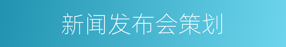 新闻发布会策划的同义词