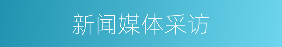 新闻媒体采访的同义词