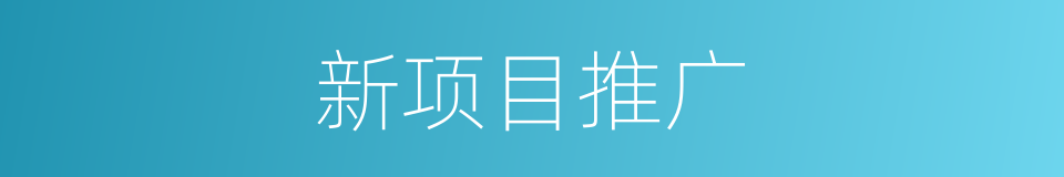 新项目推广的同义词