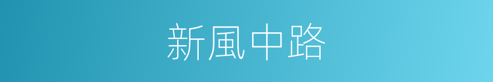 新風中路的同義詞