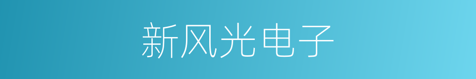 新风光电子的同义词