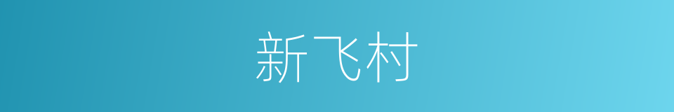 新飞村的同义词