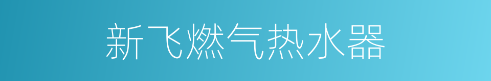新飞燃气热水器的同义词