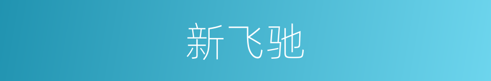 新飞驰的同义词