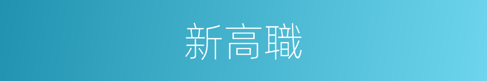 新高職的同義詞