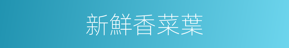 新鮮香菜葉的同義詞