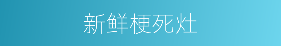 新鲜梗死灶的同义词