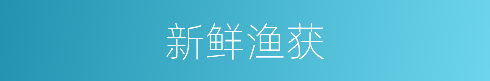 新鲜渔获的同义词