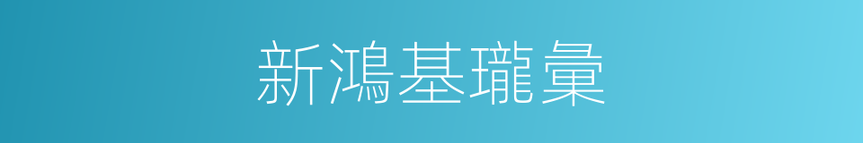 新鴻基瓏彙的同義詞