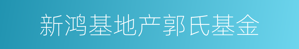 新鸿基地产郭氏基金的同义词